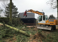 Baumfällarbeiten