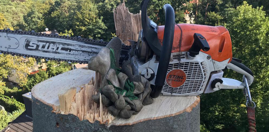 Betrieb für Baumarbeiten in Brandenburg