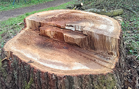 Videos von unseren Arbeiten